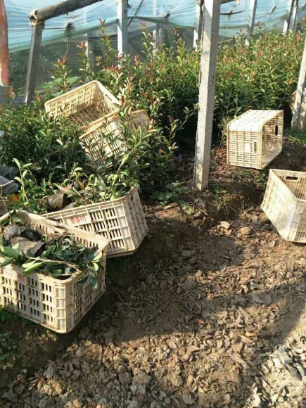 發貨現場